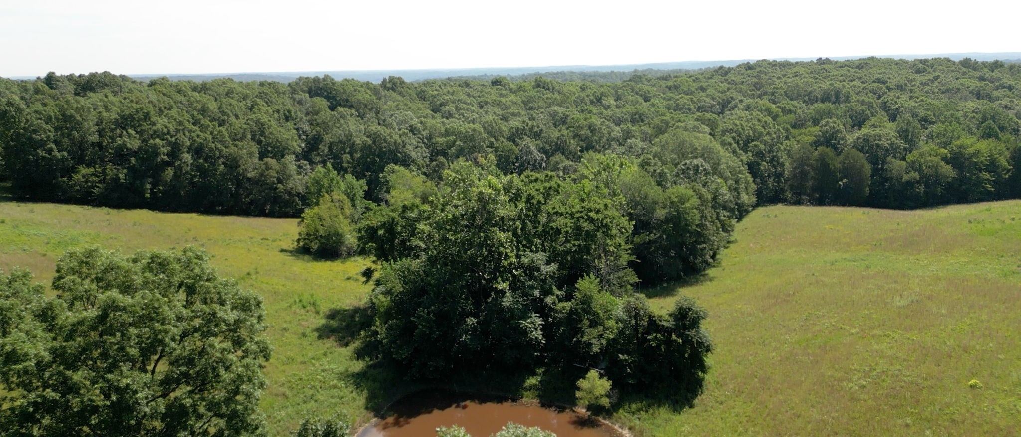 1194 Bailey Hollow Road Erin, TN 37061 - Photo 8 of 29 Gallery Image 8