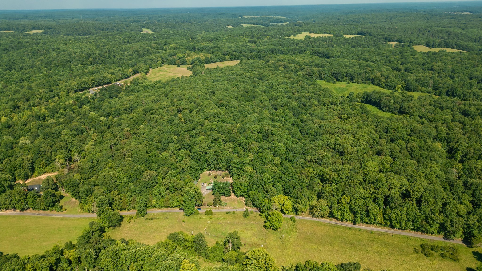 1194 Bailey Hollow Road Erin, TN 37061 - Photo 9 of 29 Gallery Image 9