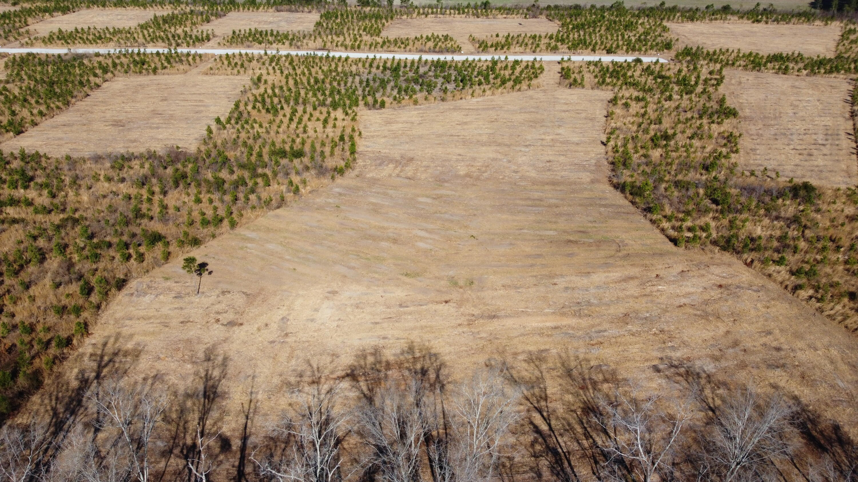 8 Highway 6 Cross, SC 29436 - Photo 8 of 9 DJI_0175