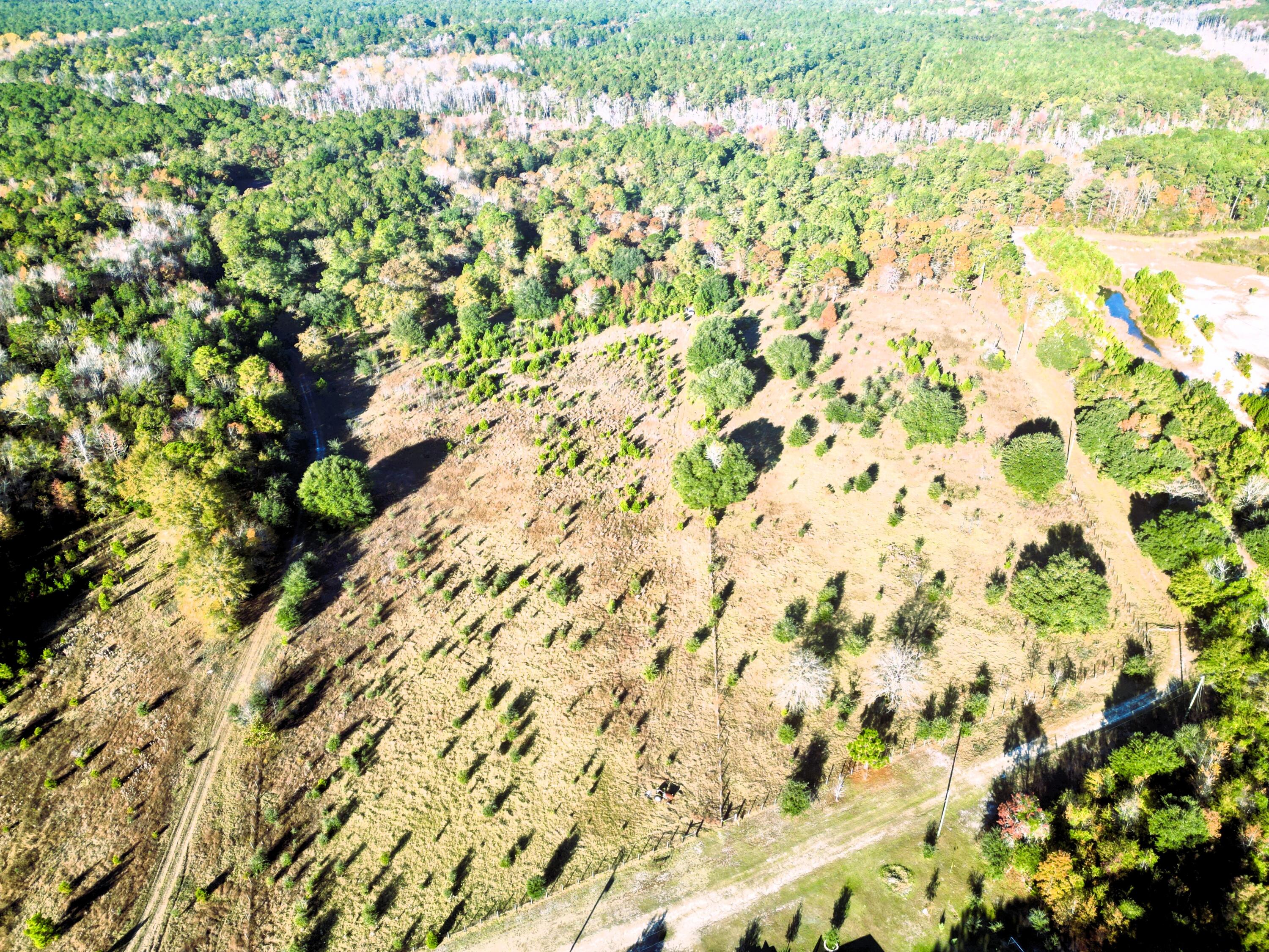 dji_fly_20251110_085602_432_176278575515