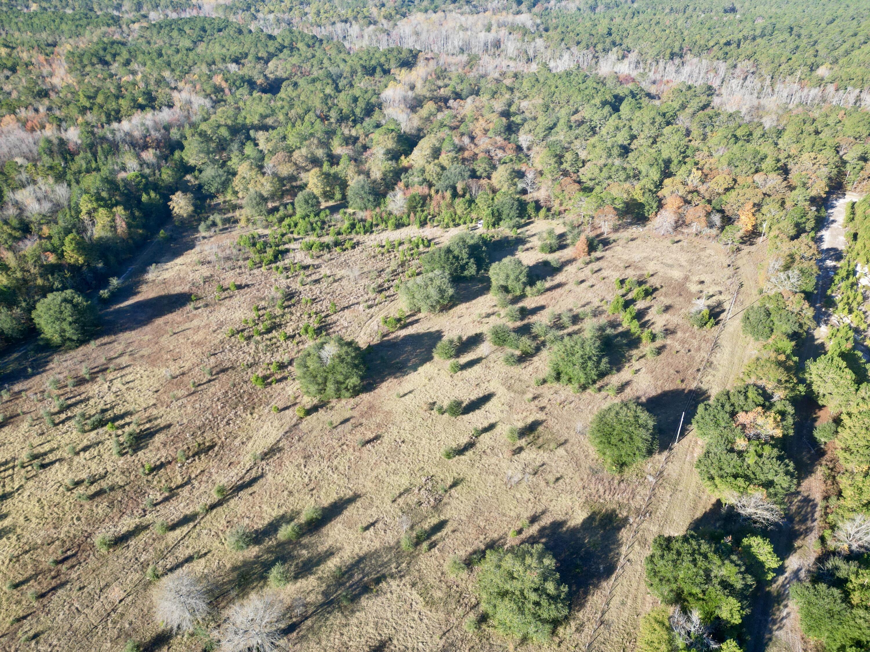 0 Virginia Road Dorchester, SC 29437 - Photo 12 of 48 dji_fly_20251110_090256_445_176278578705