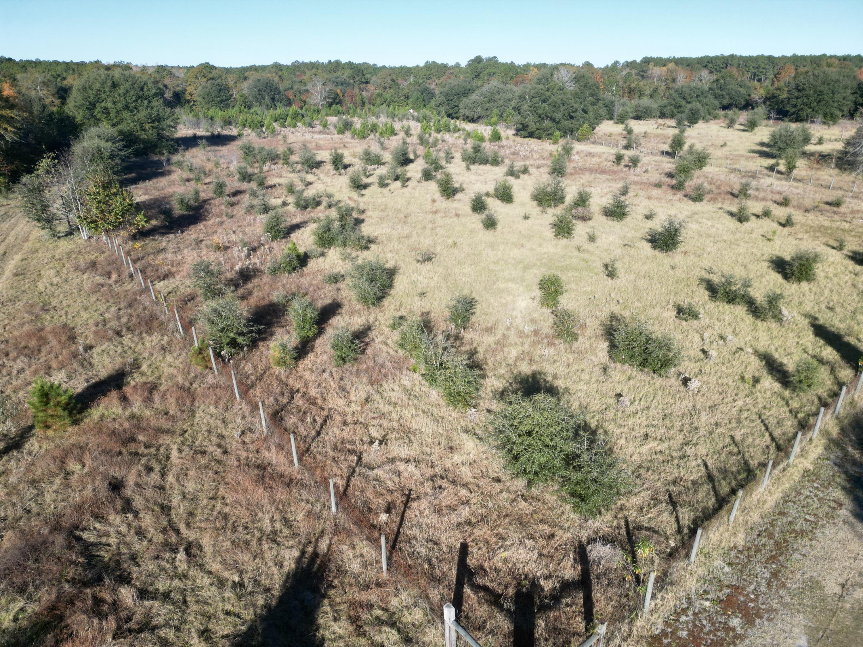 0 Virginia Road Dorchester, SC 29437 - Photo 13 of 48 dji_fly_20251110_090350_446_176278578882