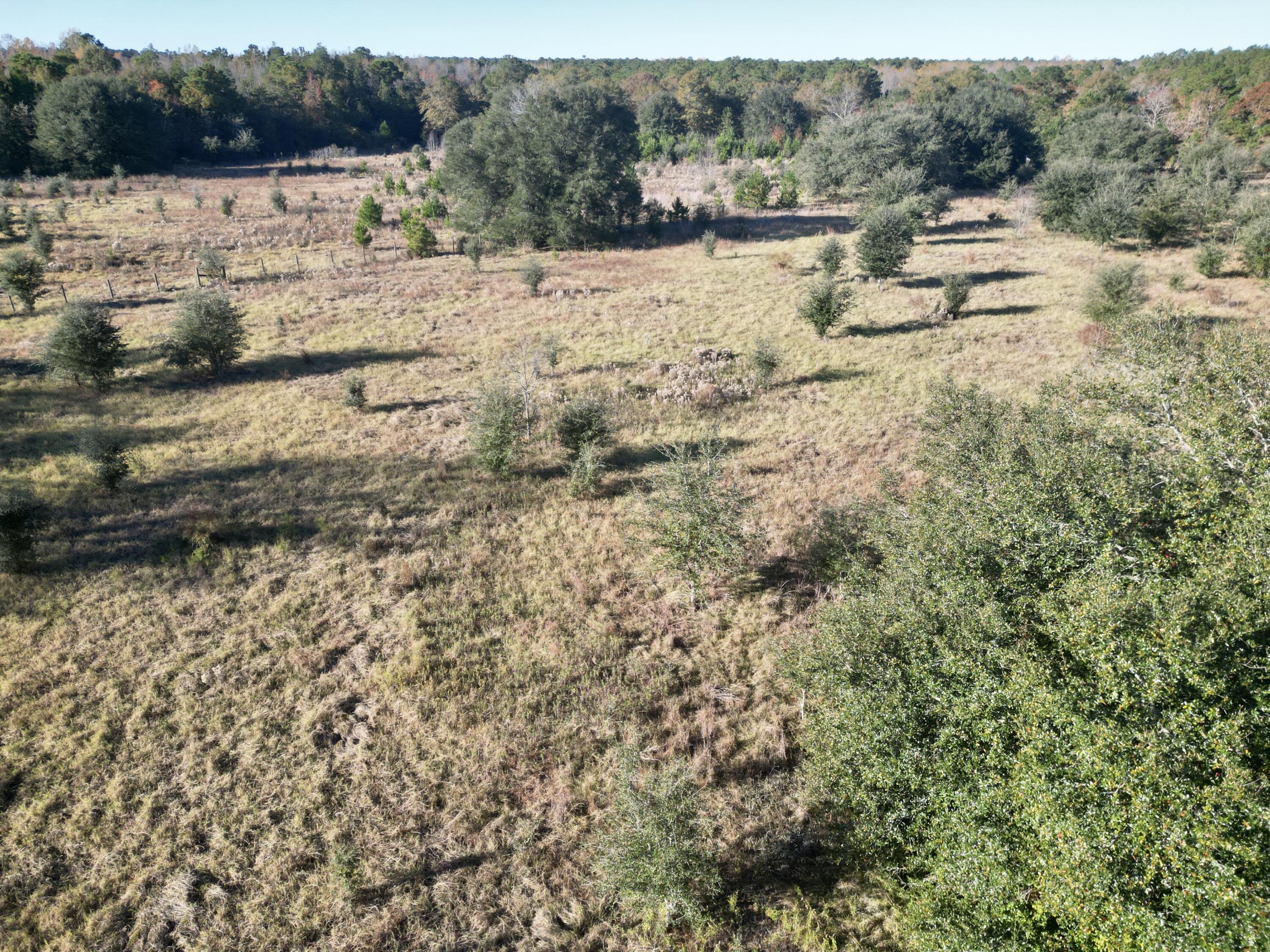 0 Virginia Road Dorchester, SC 29437 - Photo 14 of 48 dji_fly_20251110_090420_447_176278579045