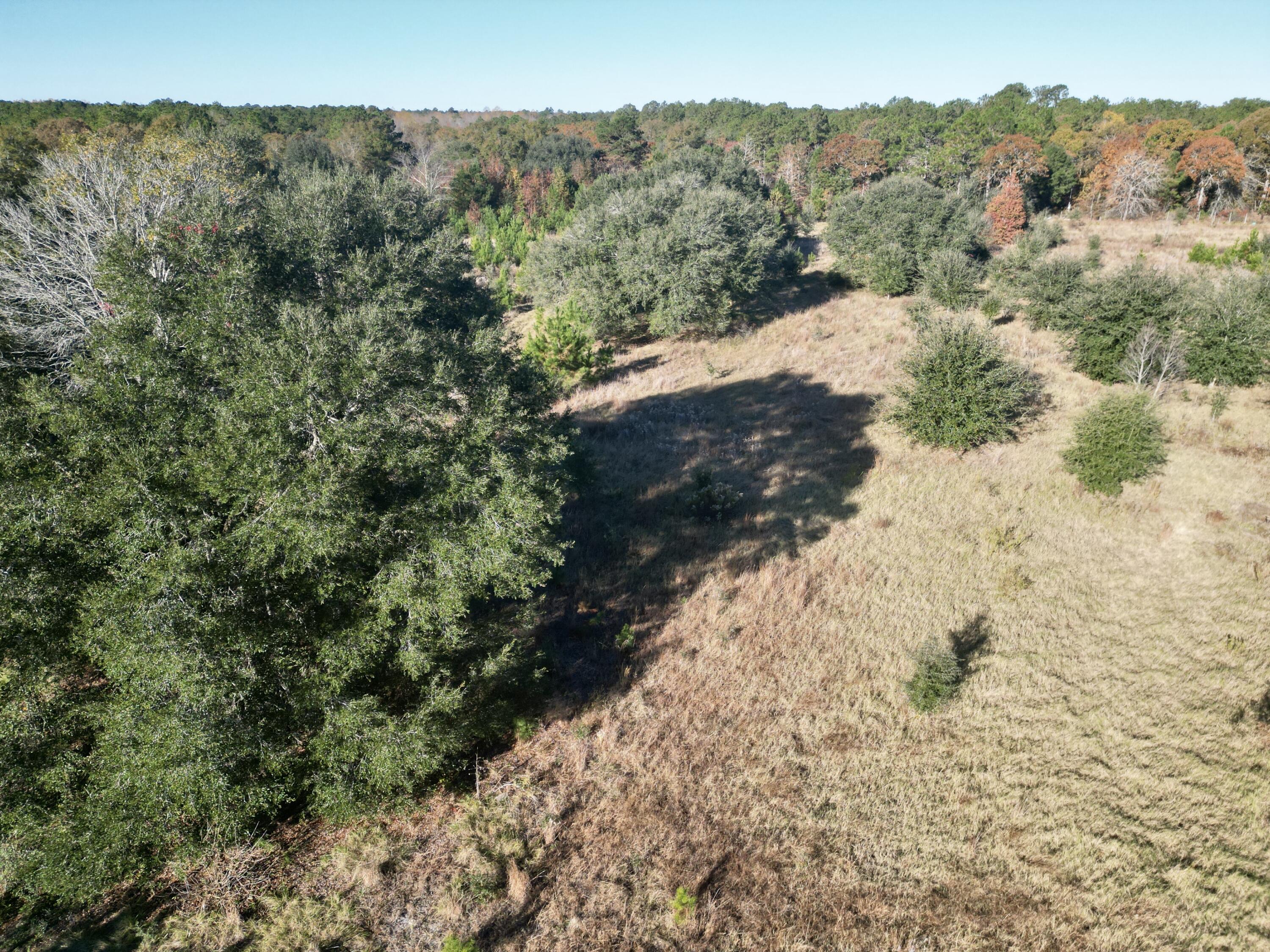 0 Virginia Road Dorchester, SC 29437 - Photo 15 of 48 dji_fly_20251110_090440_448_176278579214
