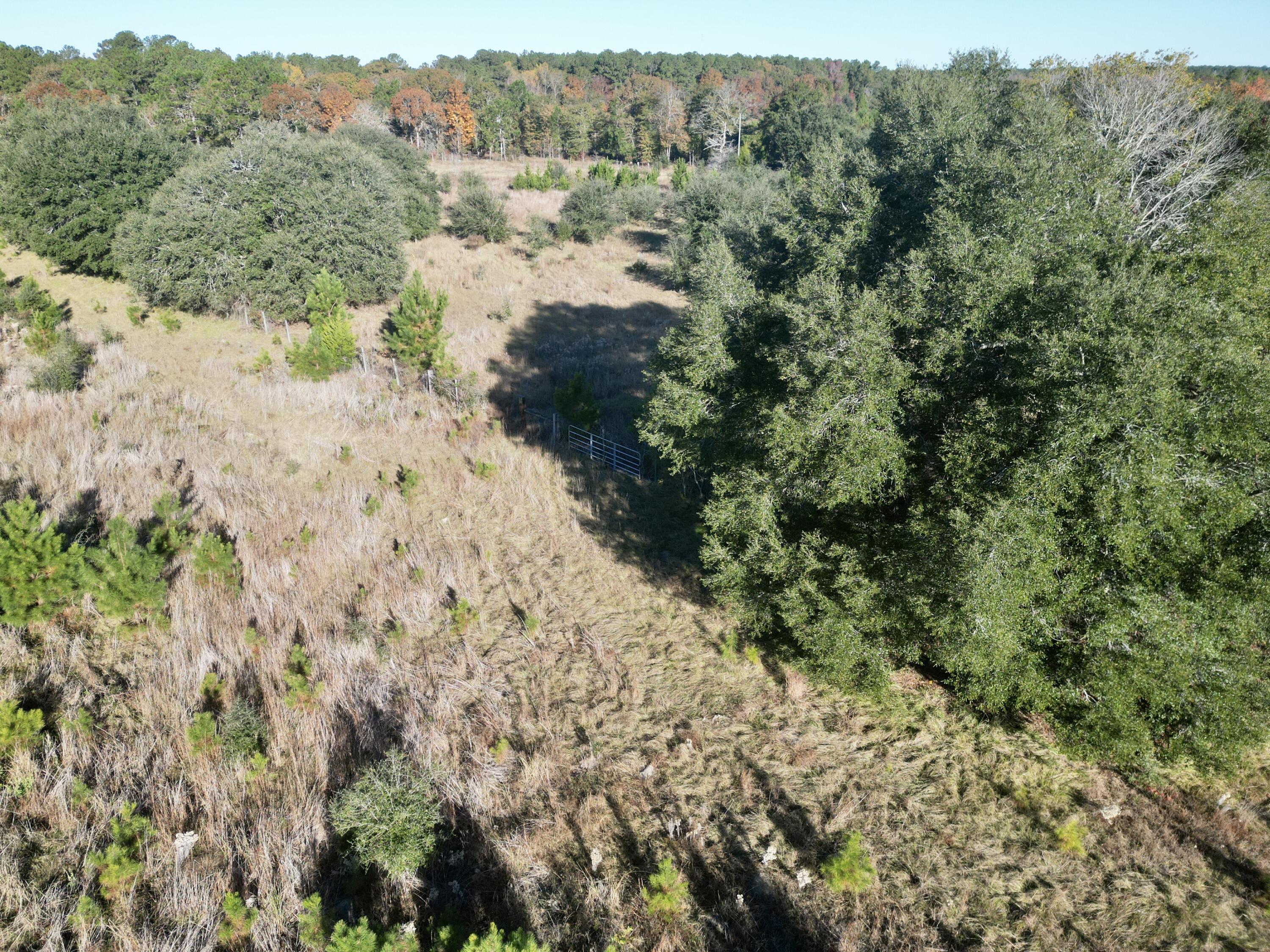 0 Virginia Road Dorchester, SC 29437 - Photo 16 of 48 dji_fly_20251110_090456_449_176278579397