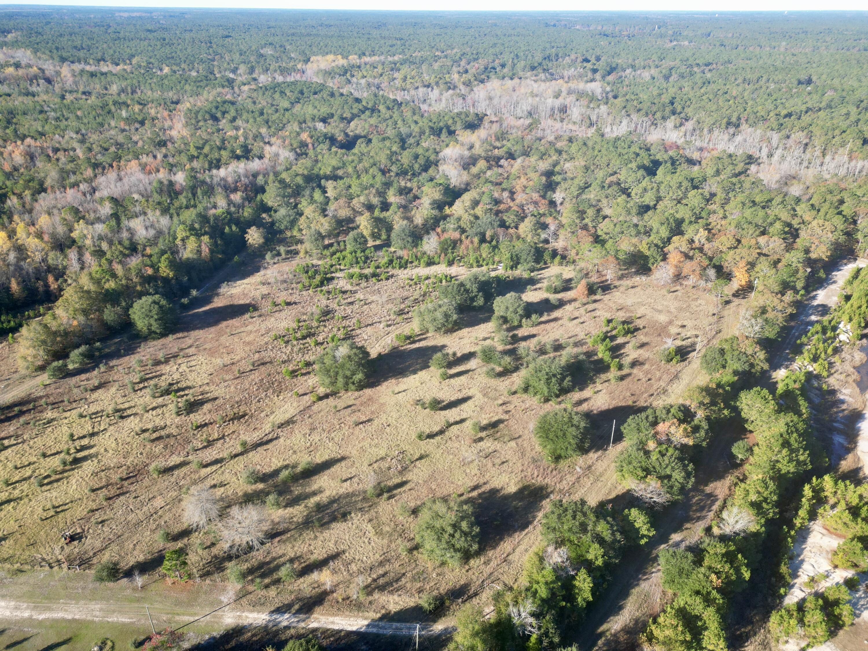 0 Virginia Road Dorchester, SC 29437 - Photo 2 of 48 dji_fly_20251110_085640_433_176278575758