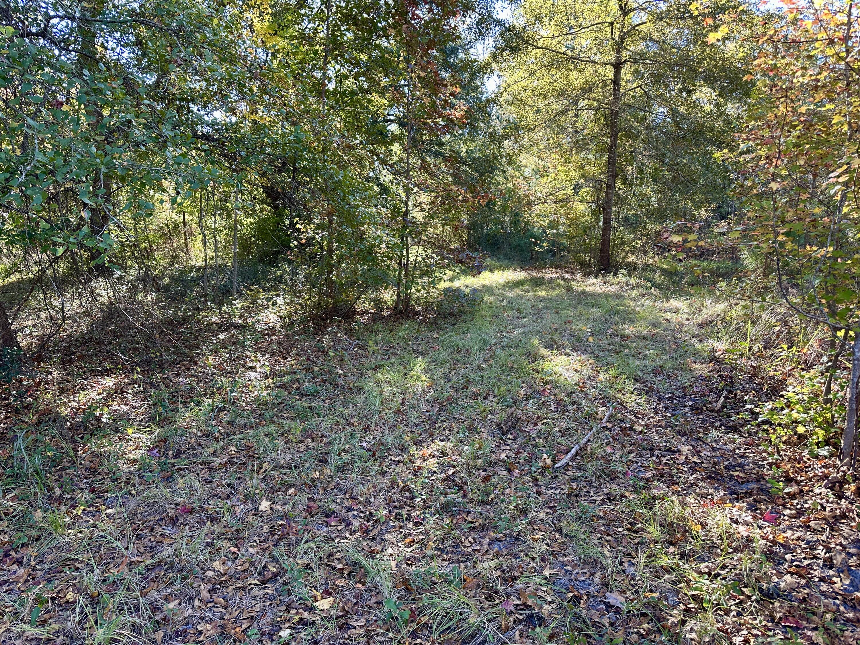 0 Virginia Road Dorchester, SC 29437 - Photo 23 of 48 IMG_2961