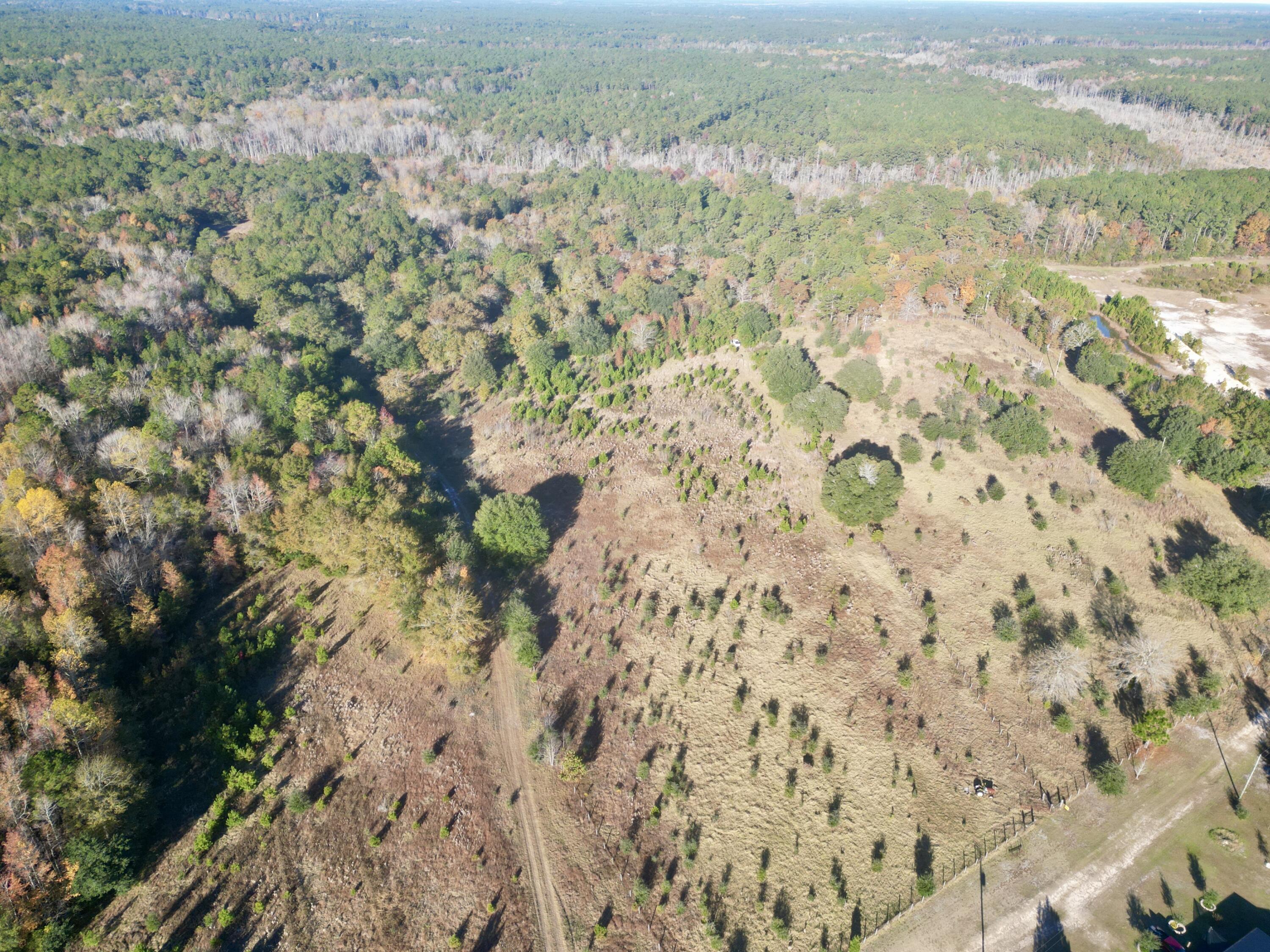 0 Virginia Road Dorchester, SC 29437 - Photo 3 of 48 dji_fly_20251110_085730_434_176278575983