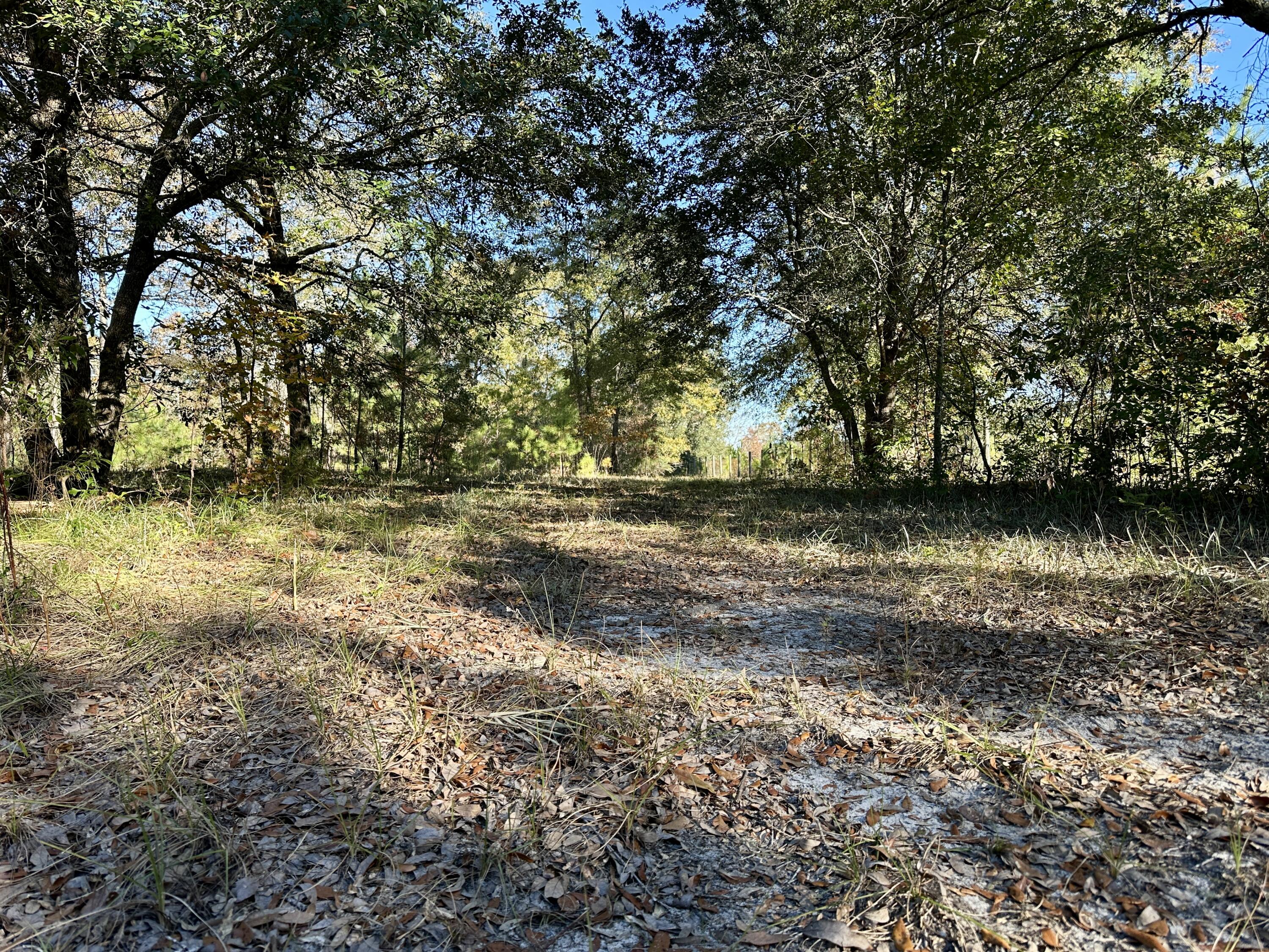 0 Virginia Road Dorchester, SC 29437 - Photo 39 of 48 IMG_2980