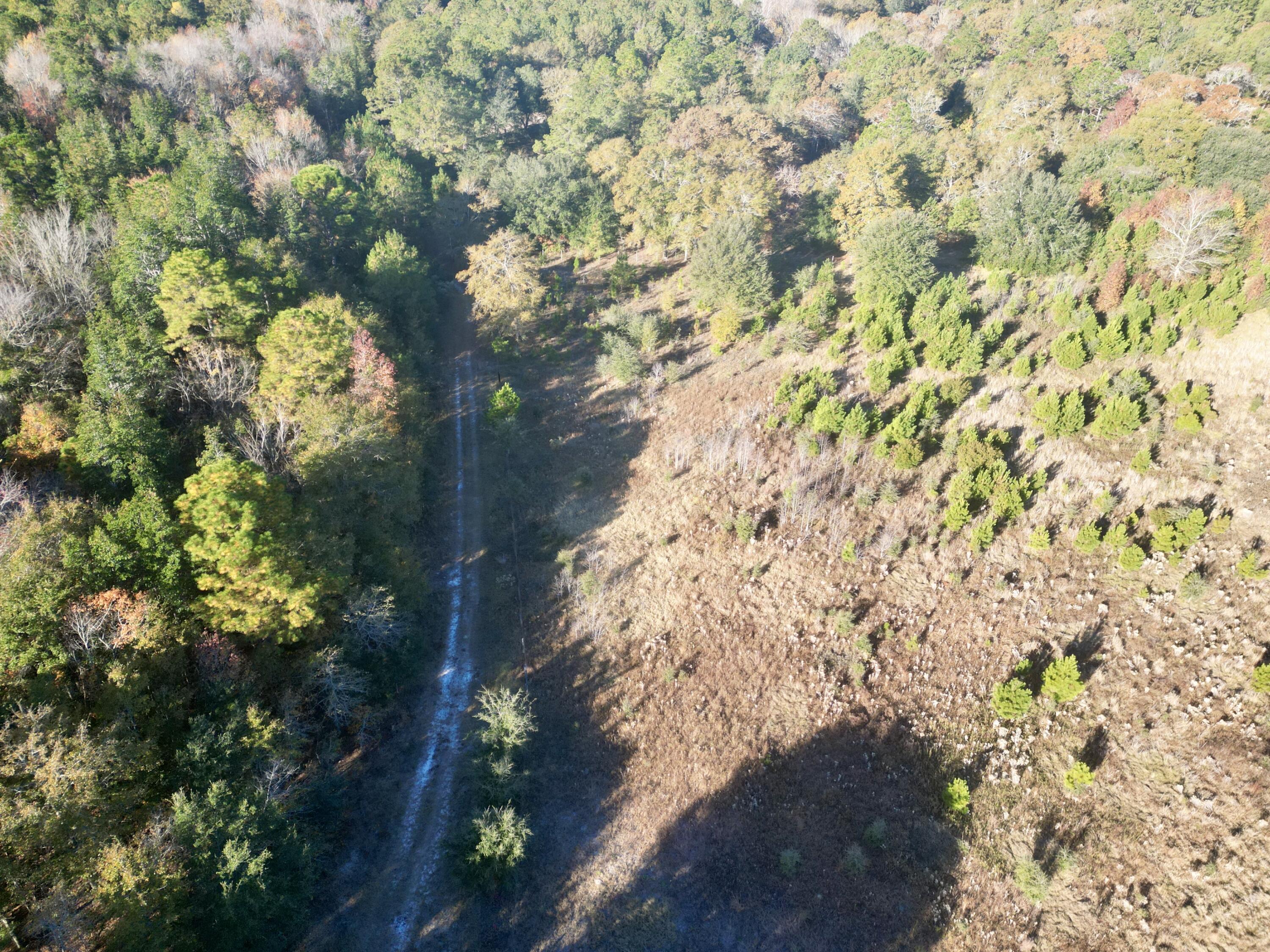 0 Virginia Road Dorchester, SC 29437 - Photo 4 of 48 dji_fly_20251110_085758_435_176278576210