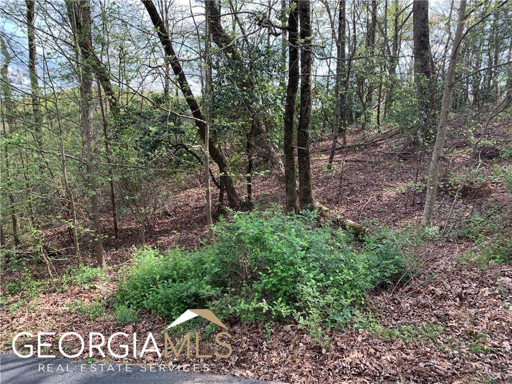 Lot094 Prospect Road Cleveland, GA 30528 - Photo 1 of 1