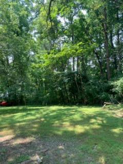 237 Sims Hill Road Elizabethton, TN 37643 - Photo 18 of 19 IMG_3528