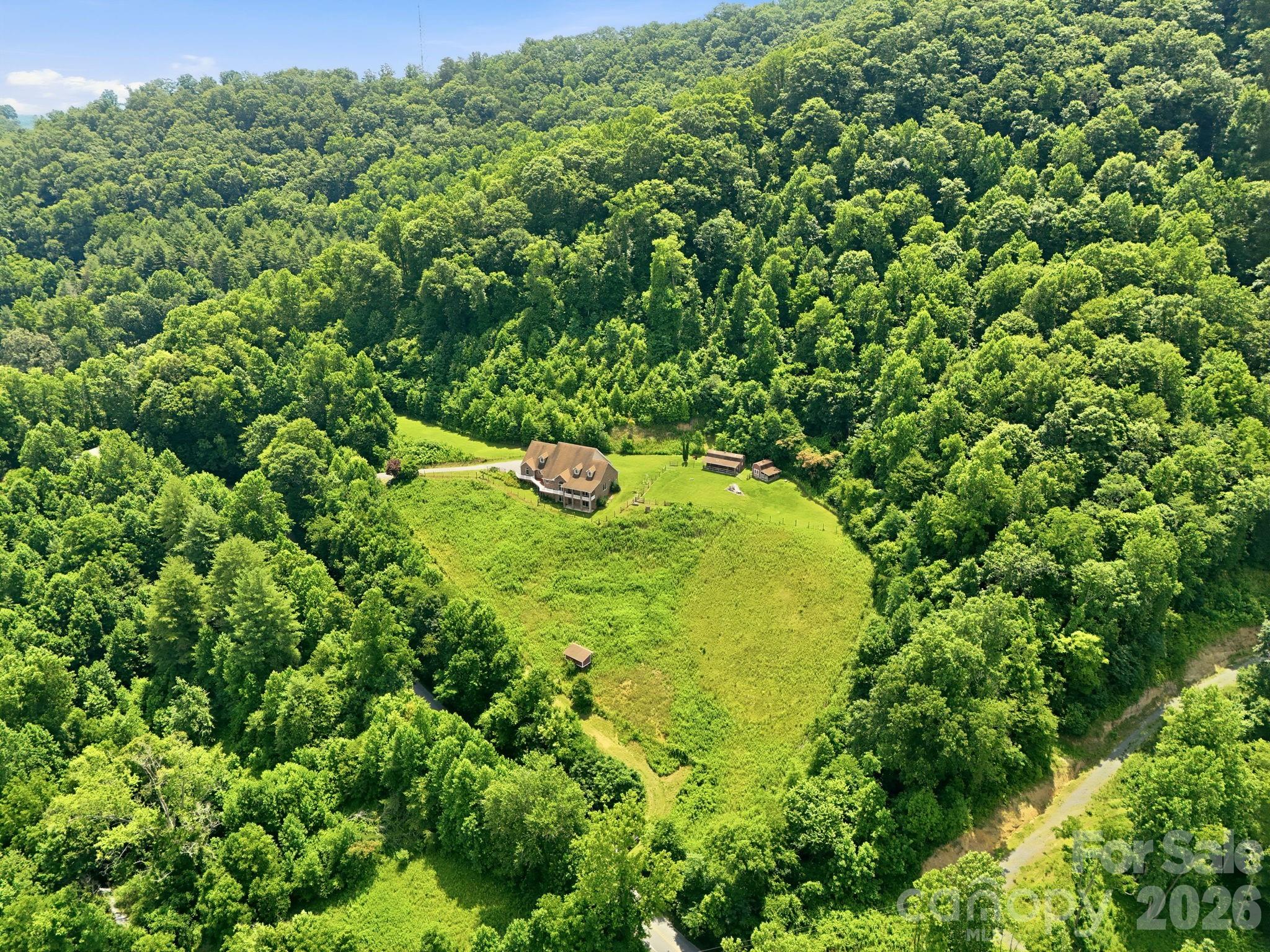 340 Earlys Mountain Road Leicester, NC 28748 - Photo 29 of 29
