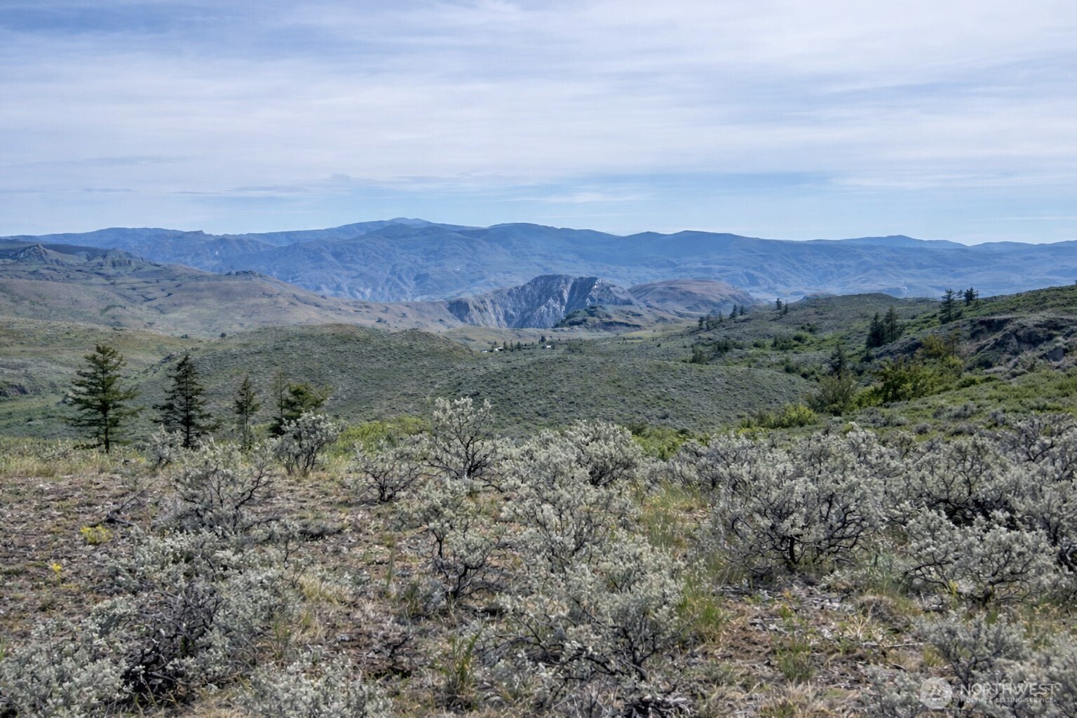 4 Ellemeham Mountain Road Oroville, WA 98844 - Photo 2 of 7 a view of a lush green hillside and a mountain