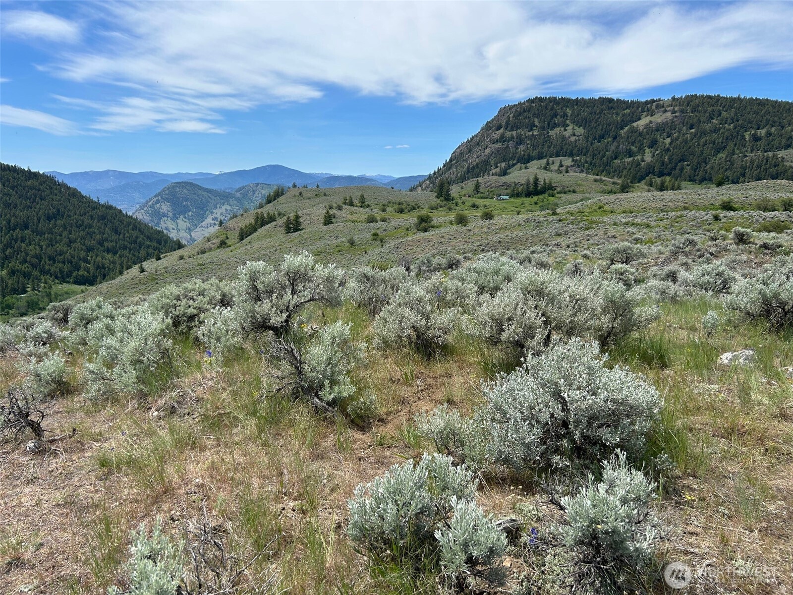 4 Ellemeham Mountain Road Oroville, WA 98844 - Photo 5 of 7 a view of a field with a forest