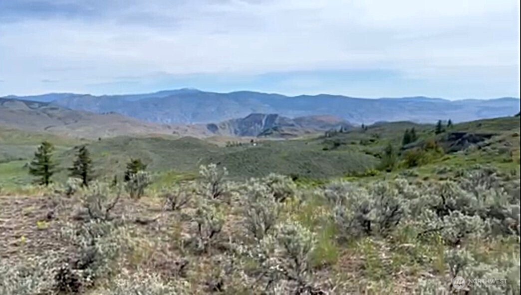 4 Ellemeham Mountain Road Oroville, WA 98844 - Photo 7 of 7 a view of a lush green hillside and a houses
