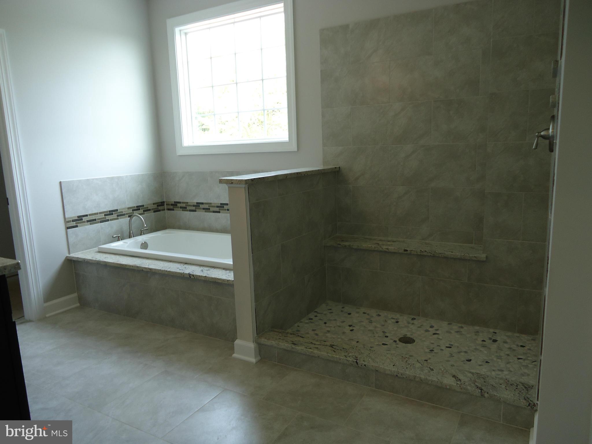 5300 Pond Mountain Road Broad Run, VA 20137 - Photo 21 of 24 Bath (Master)