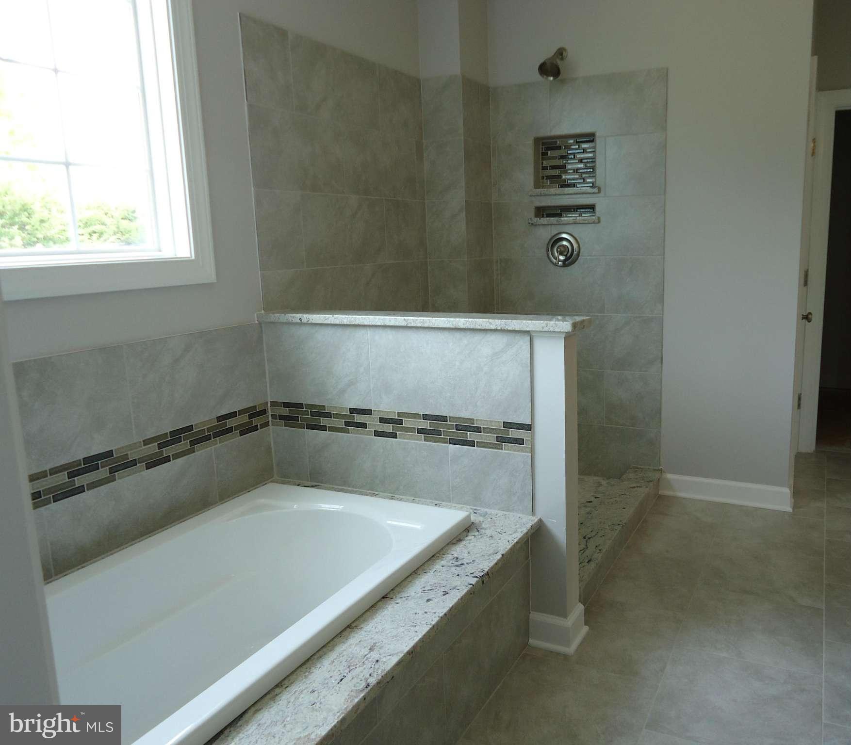 5300 Pond Mountain Road Broad Run, VA 20137 - Photo 22 of 24 Bath (Master)