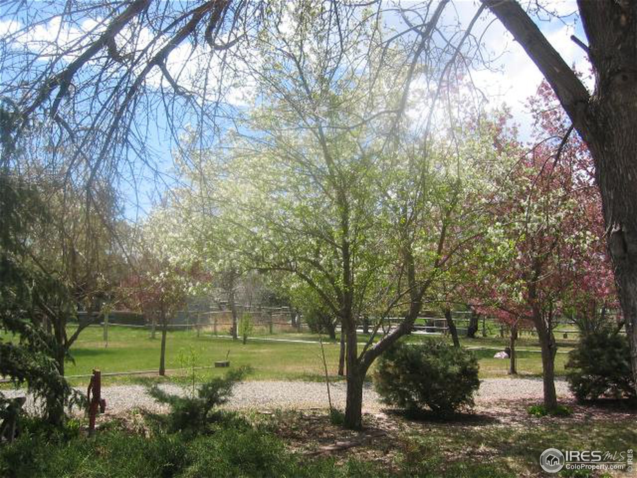 5575 St Vrain Road Longmont, CO 80503 - Photo 4 of 10 a view of a garden with a tree