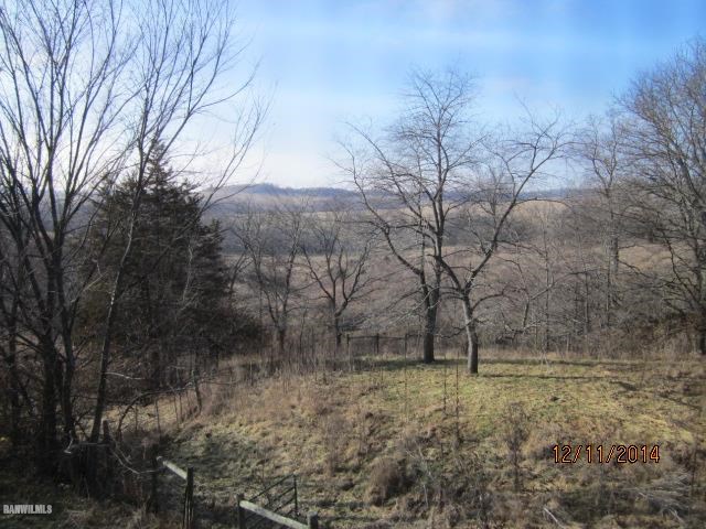 6 Snipe Hollow Road Elizabeth, IL 61028 - Photo 23 of 23 a view of a backyard with large trees