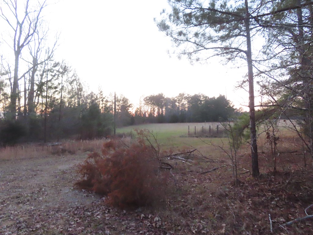2175 Poplar Springs Road Ware Shoals, SC 29692 - Photo 21 of 23