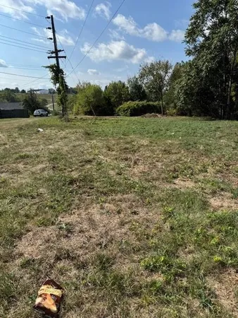 a picture of a field with trees in the background