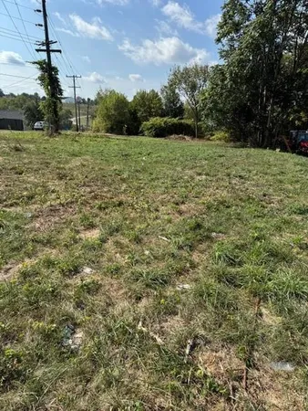 a view of outdoor space and yard