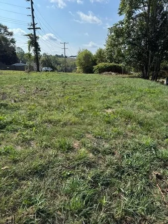 a big yard with lots of green space