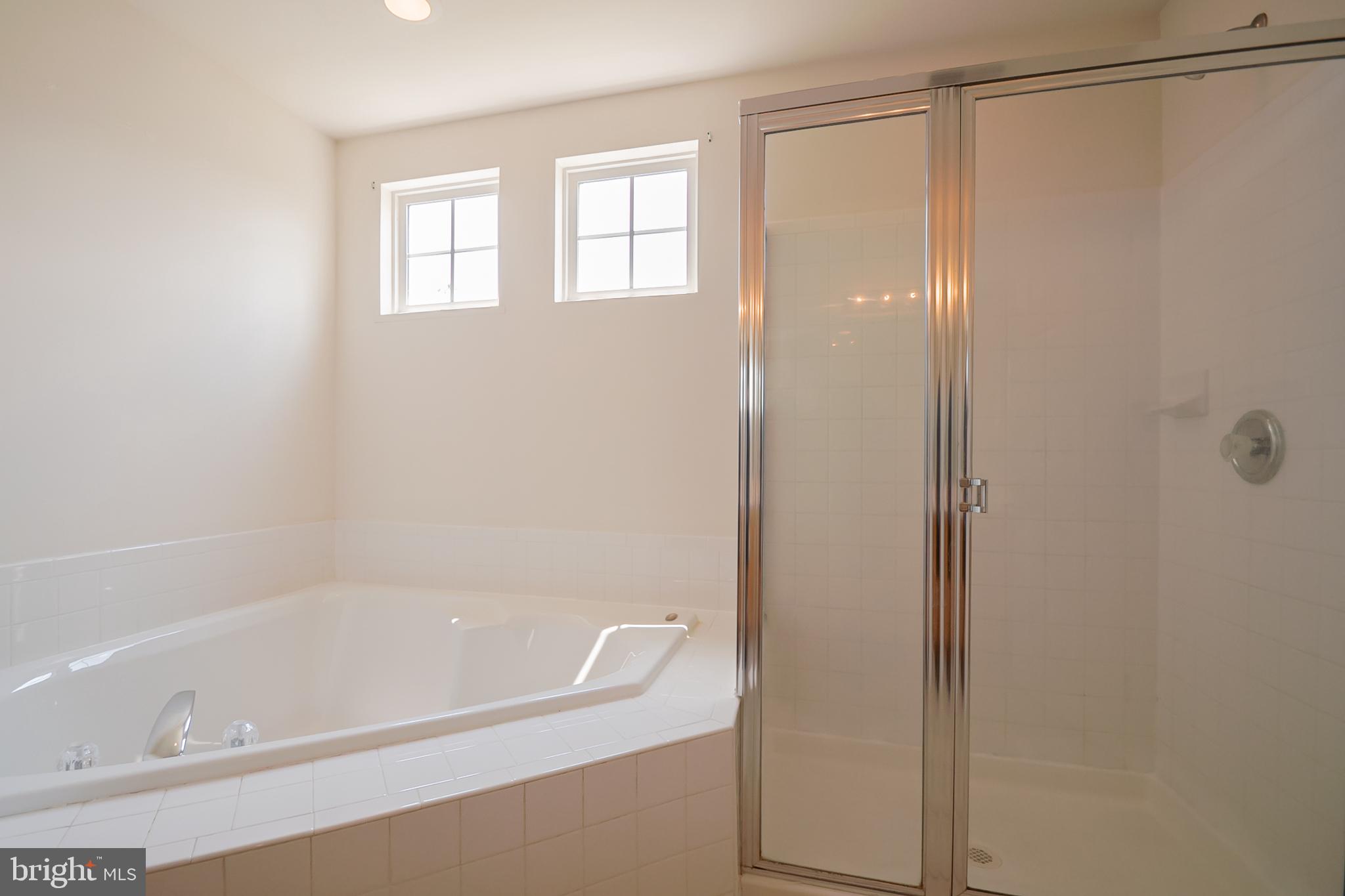 435 Wynthorpe Road New Castle, DE 19720 - Photo 23 of 38 Master bath soaker tub and shower stall