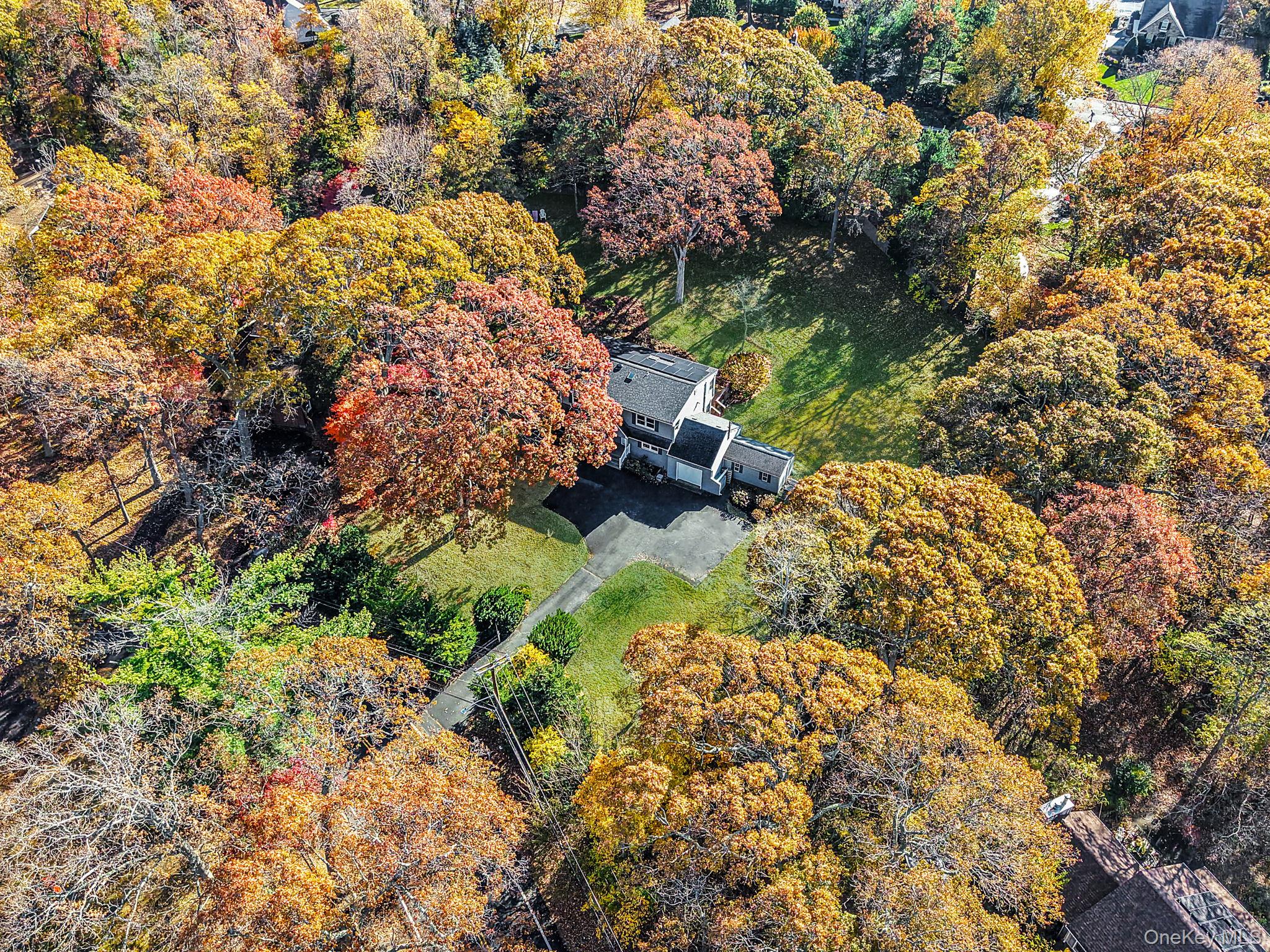 12 Harbor Beach Road Miller Place, NY 11764 - Photo 42 of 45 View from above of property featuring a heavily wooded area