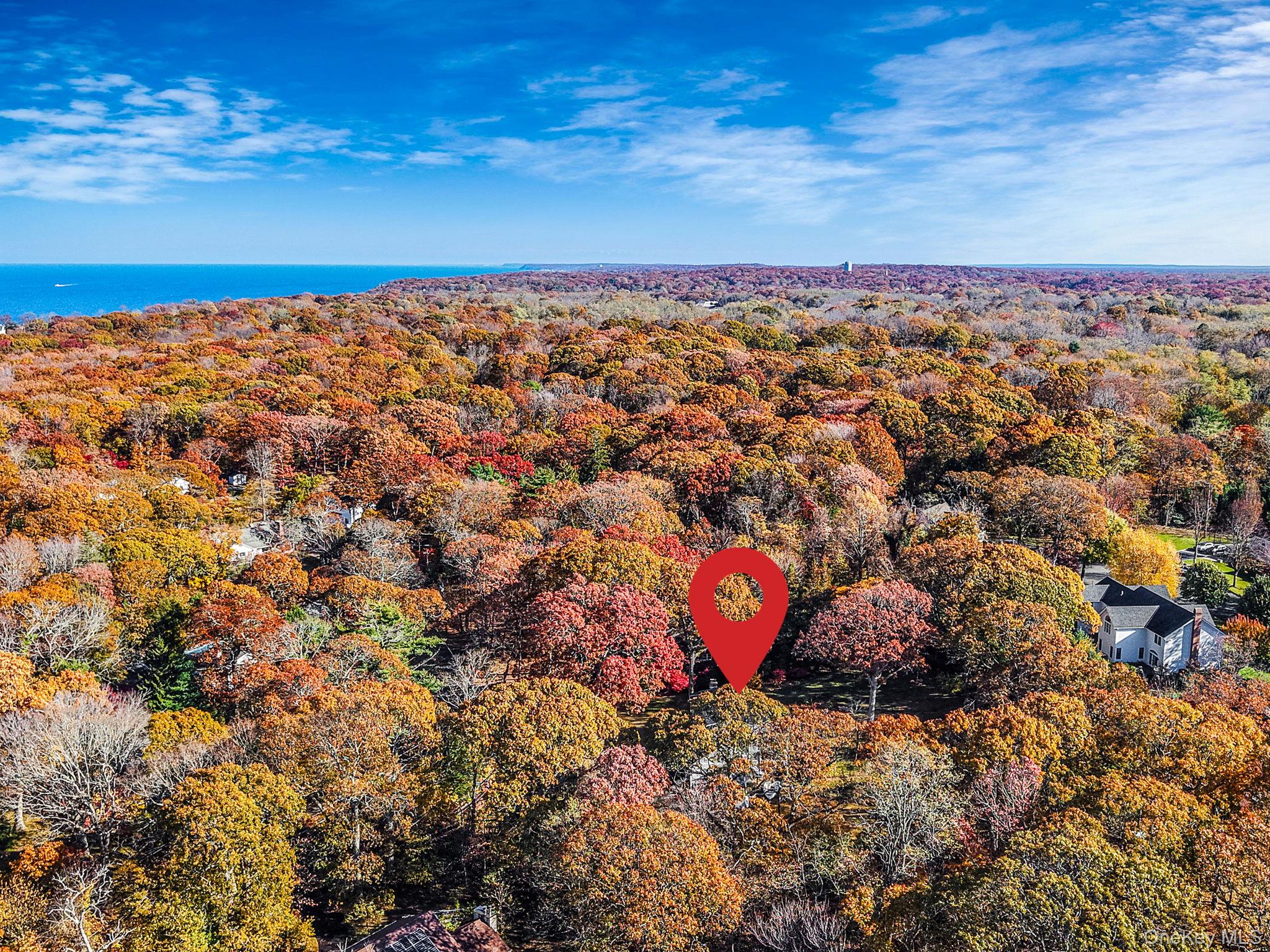 12 Harbor Beach Road Miller Place, NY 11764 - Photo 44 of 45 Aerial view of a forest and a nearby body of water