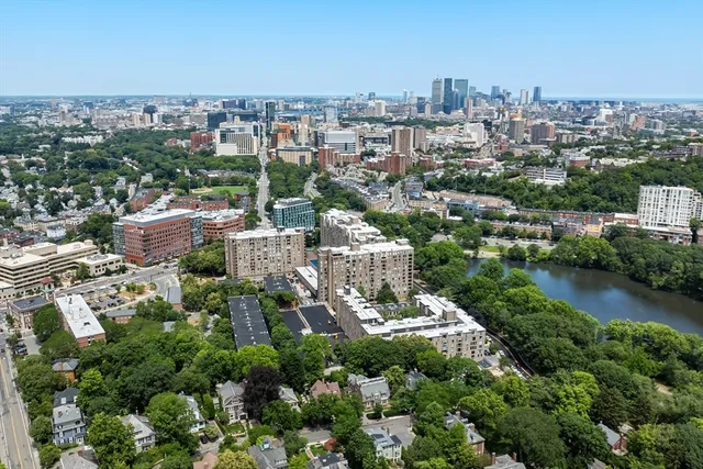 an aerial view of city and lake with trees all around