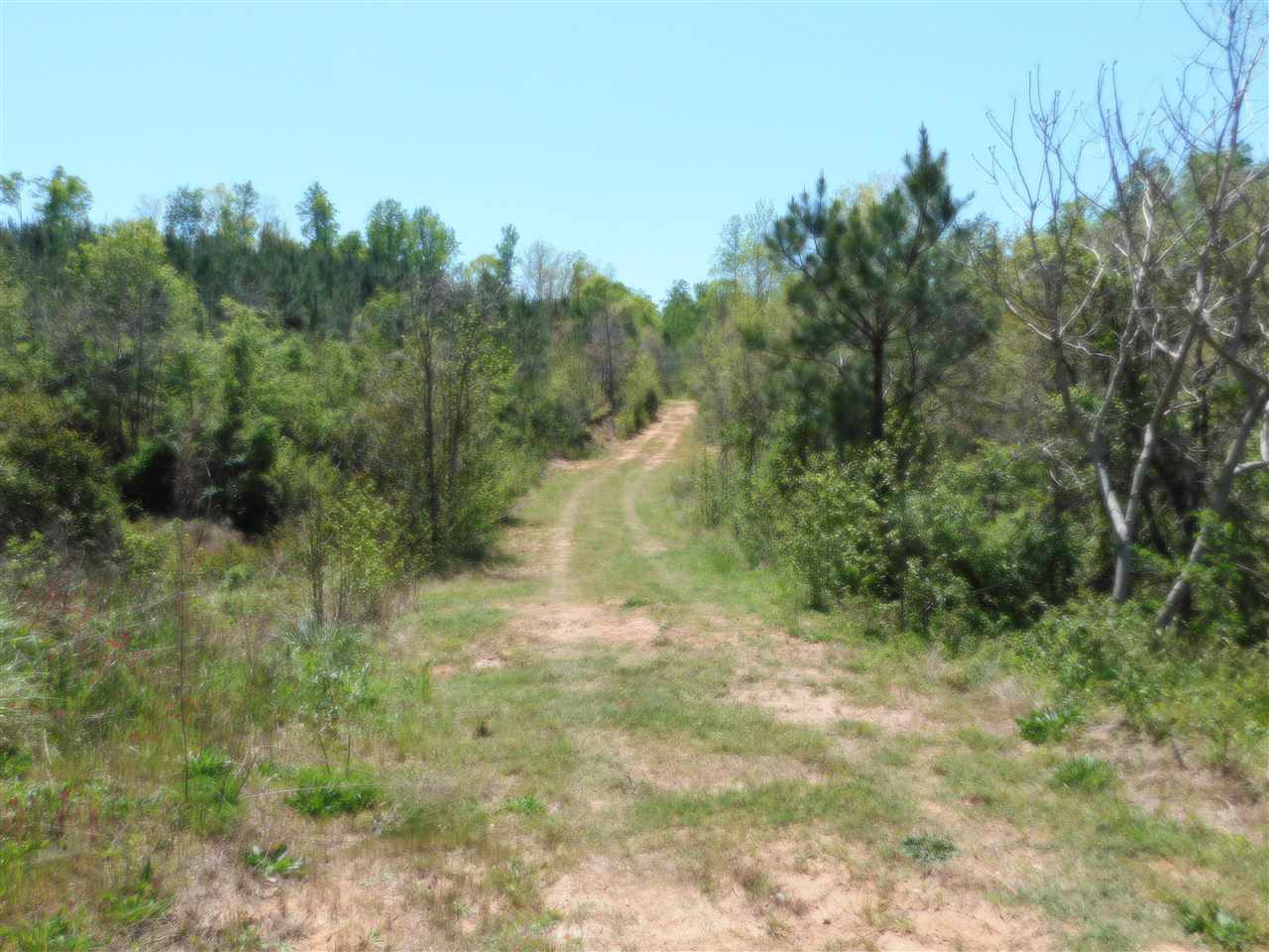 452 Beltline Road Union, SC 29379 - Photo 13 of 19