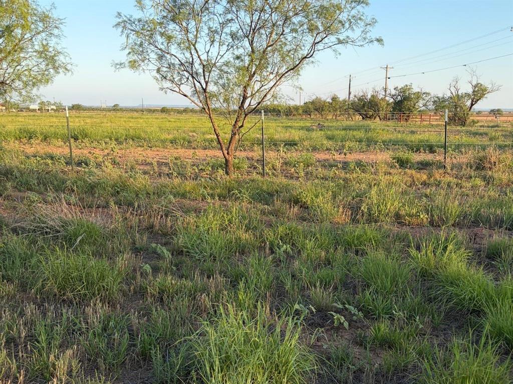 14214 County Road 421 Merkel, TX 79536 - Photo 14 of 16 Gallery Image 14