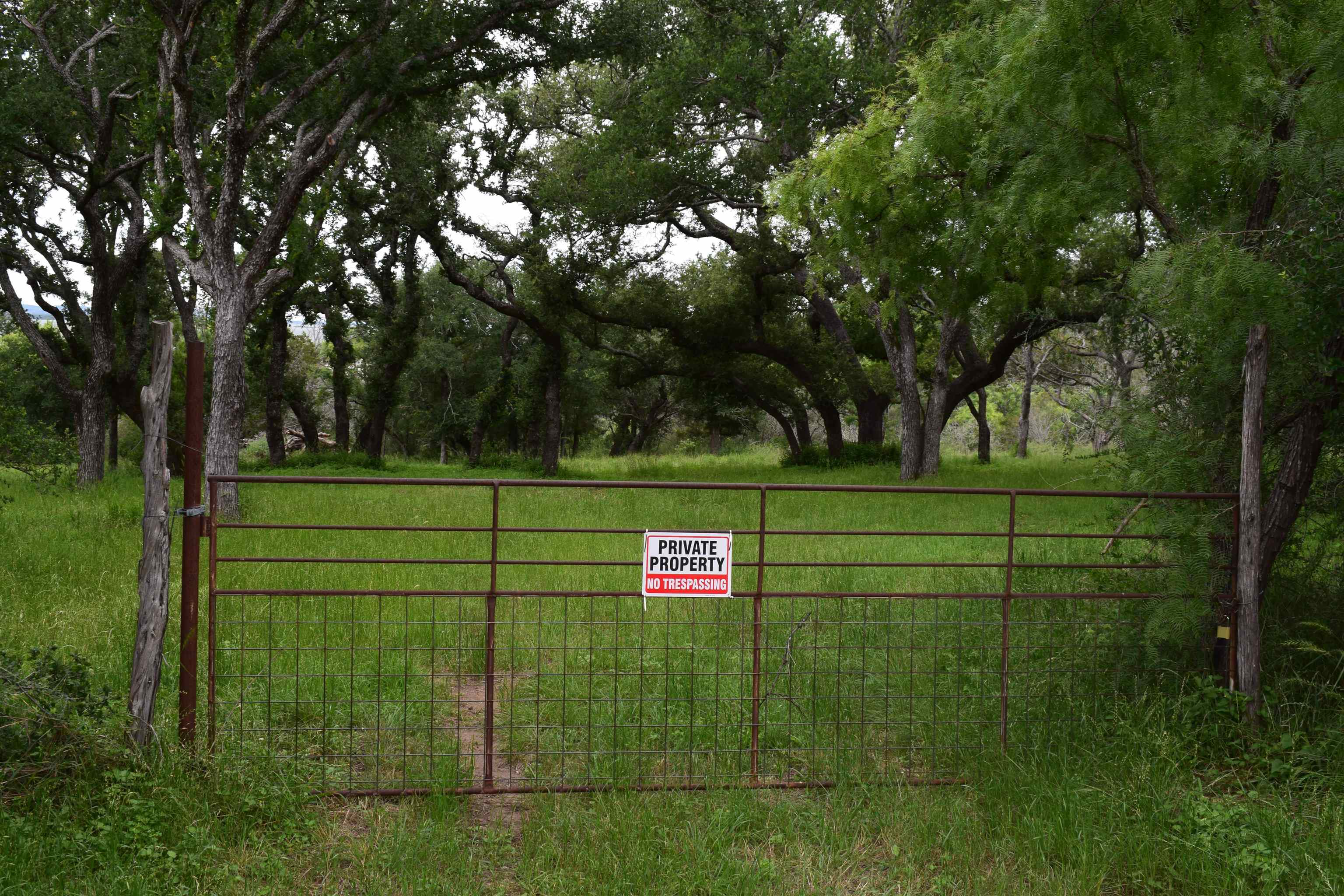 10430 Ranch Road 2341 Burnet, TX 78611 - Photo 3 of 11 a view of a park