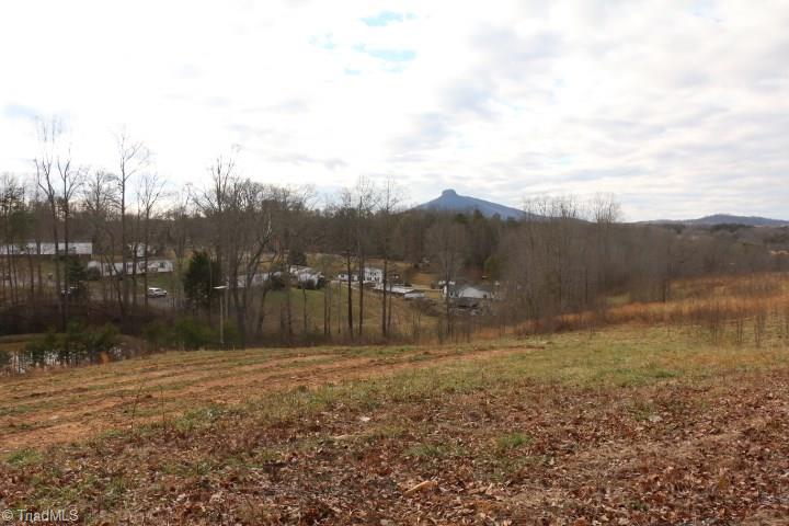 0 Volunteer Road Pinnacle, NC 27043 - Photo 11 of 15