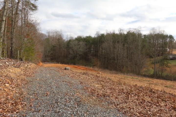 0 Volunteer Road Pinnacle, NC 27043 - Photo 12 of 15