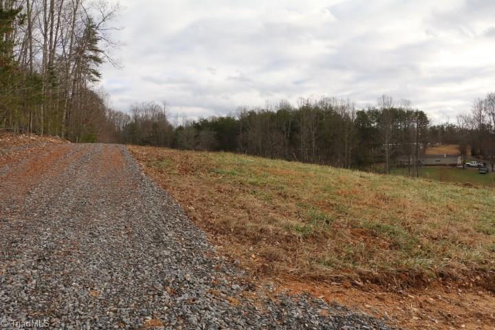 0 Volunteer Road Pinnacle, NC 27043 - Photo 4 of 15