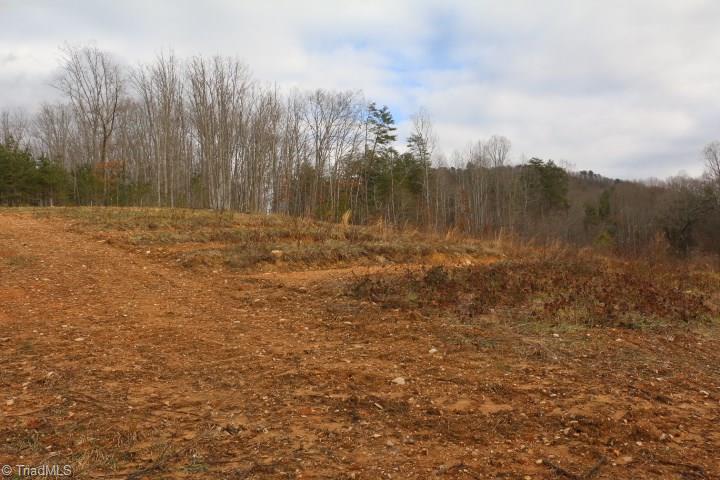 0 Volunteer Road Pinnacle, NC 27043 - Photo 5 of 15