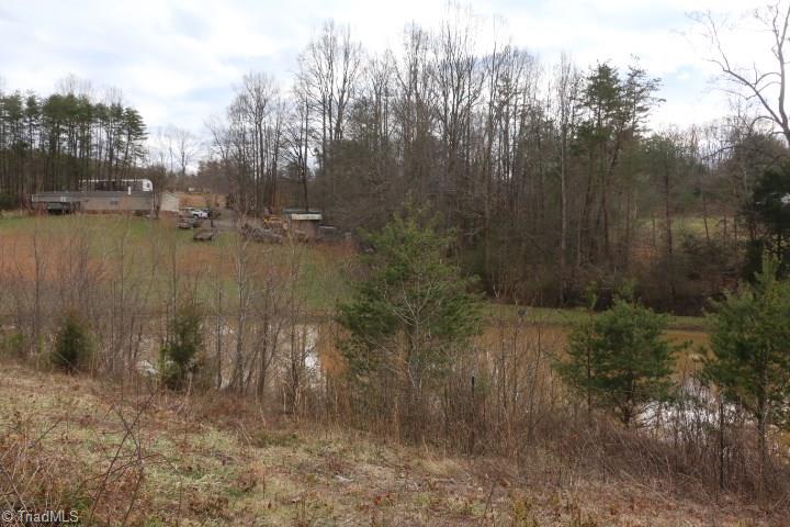 0 Volunteer Road Pinnacle, NC 27043 - Photo 6 of 15