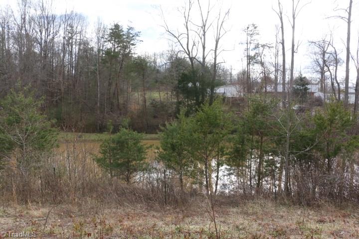 0 Volunteer Road Pinnacle, NC 27043 - Photo 7 of 15