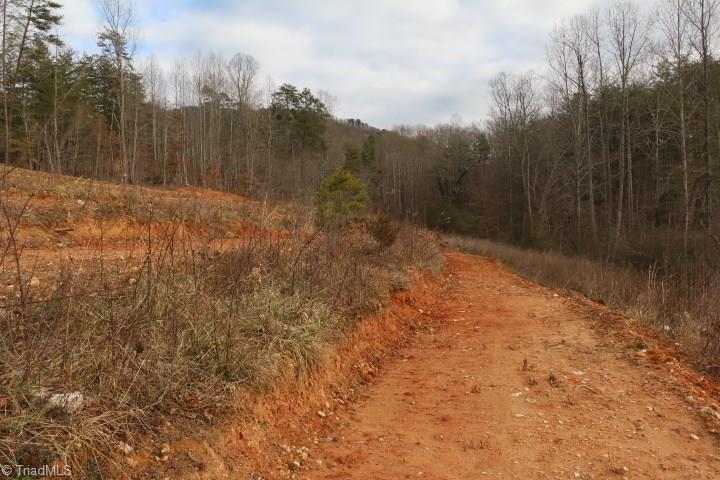 0 Volunteer Road Pinnacle, NC 27043 - Photo 8 of 15