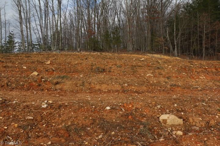 0 Volunteer Road Pinnacle, NC 27043 - Photo 9 of 15