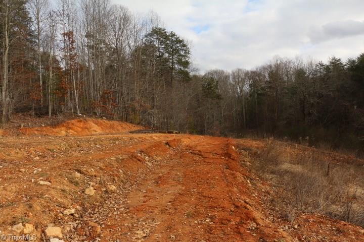 0 Volunteer Road Pinnacle, NC 27043 - Photo 10 of 15