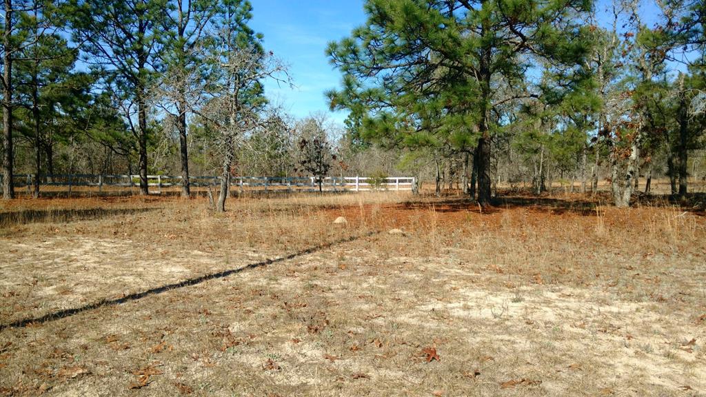586 Edgar Jones Road Box Springs, GA 31801 - Photo 6 of 6