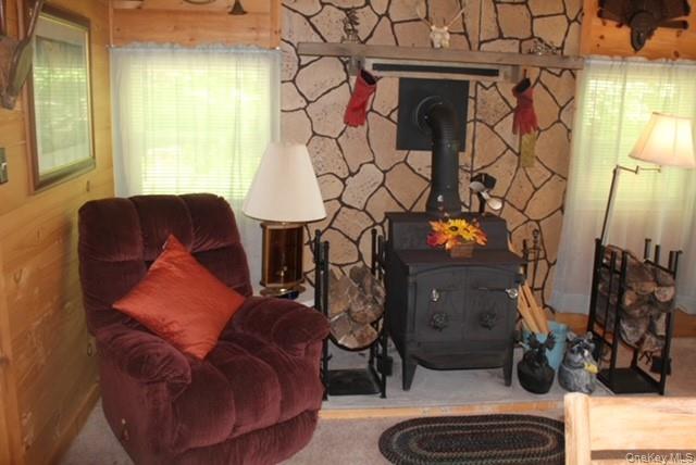 553 Friedenstein Road Roscoe, NY 12776 - Photo 13 of 25