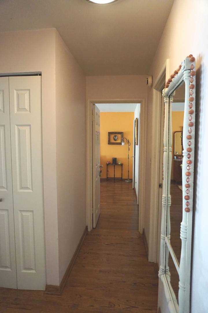 906 Ridge Square, Unit 212 Elk Grove Village, IL 60007 - Photo 10 of 12