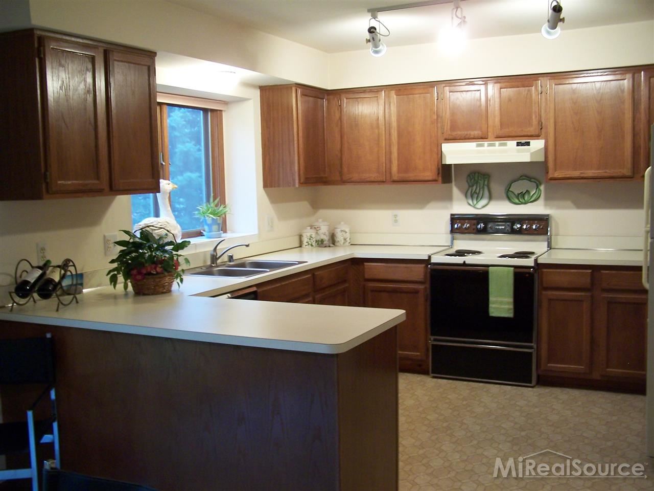 220 Bourbon Court Rochester, MI 48307 - Photo 14 of 28 31193081-13.JPG