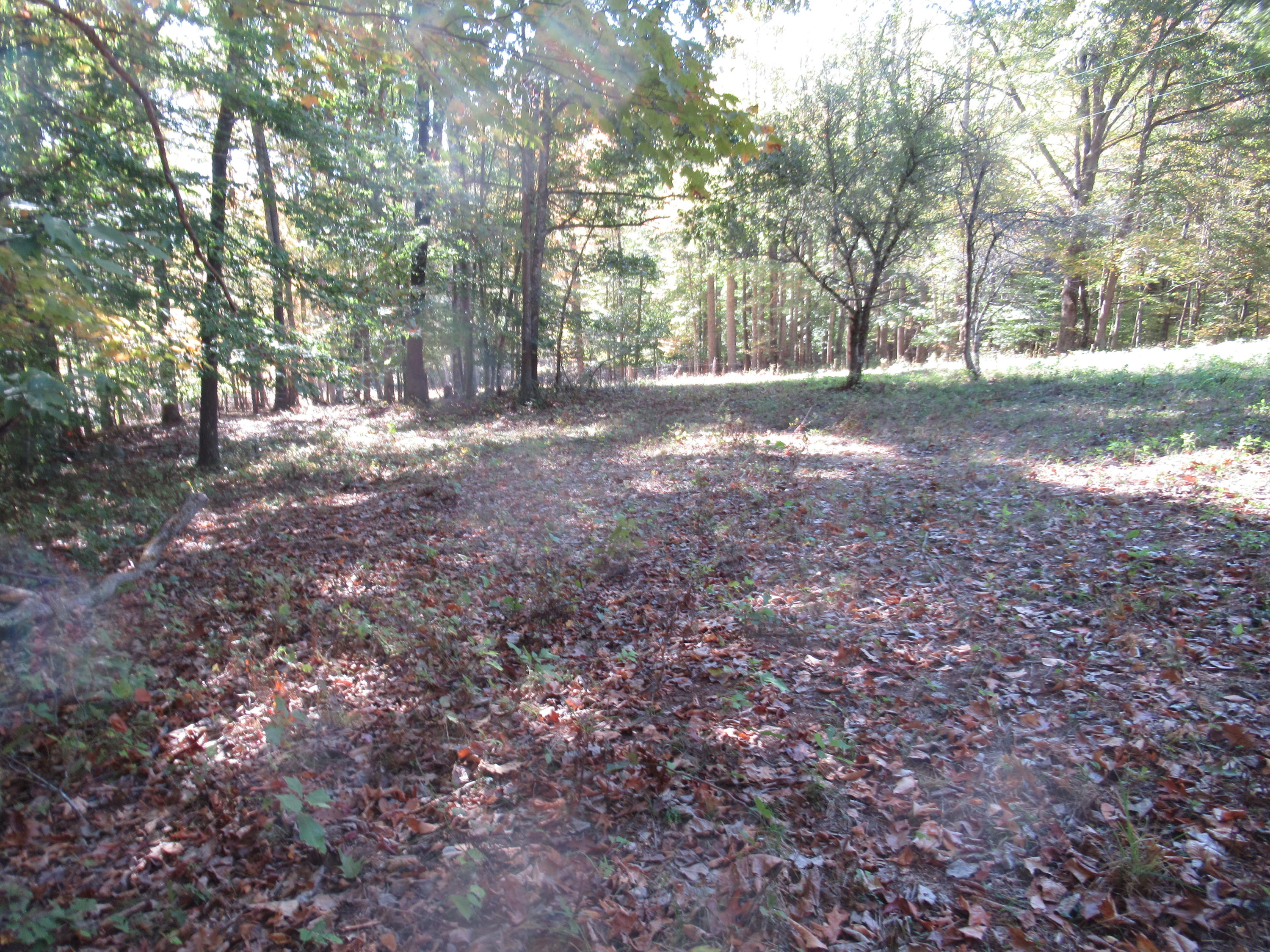 George Ballengee Road Alderson, WV 24910 - Photo 3 of 17 Gallery Image 3