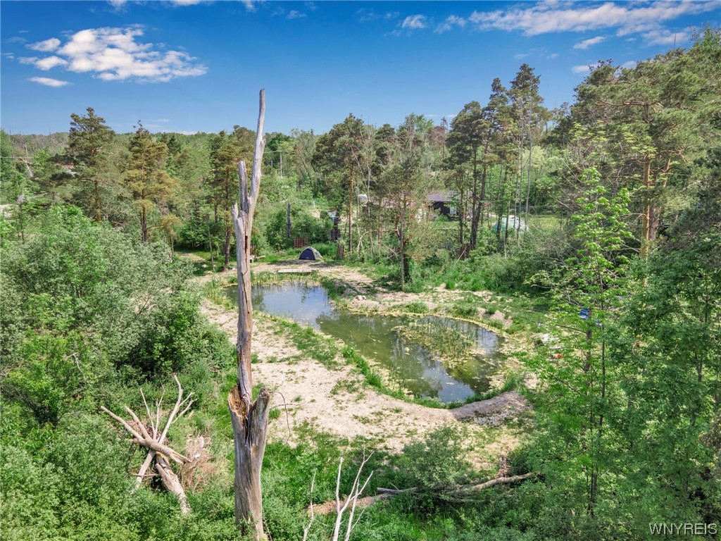 1627 Sturgeon Point Road Evans, NY 14047 - Photo 13 of 49